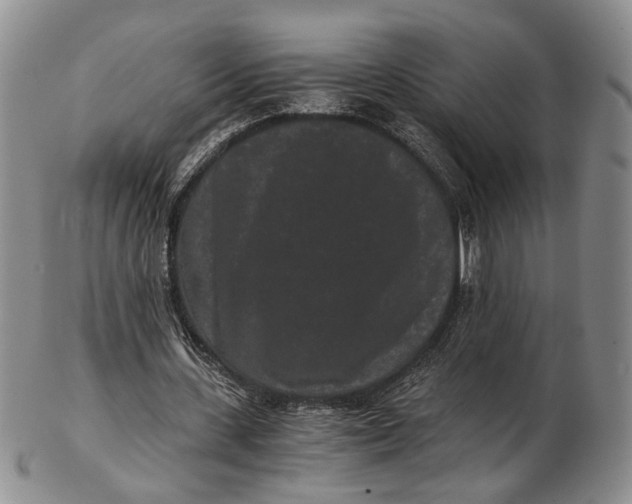 X0000102800531200809081114