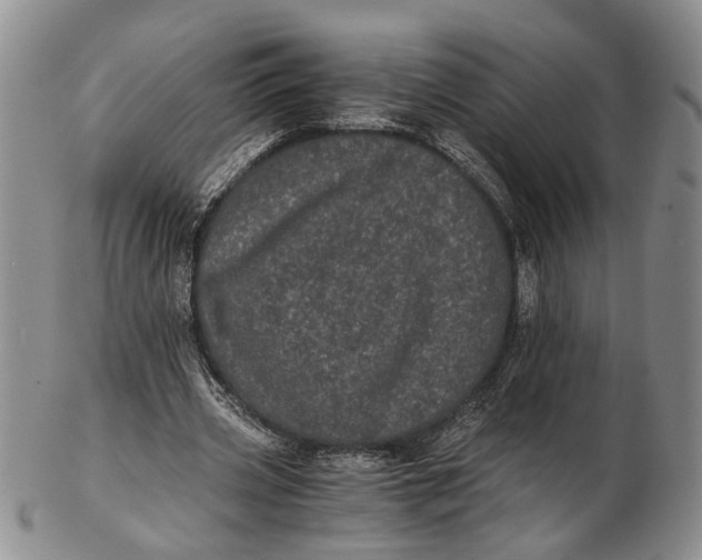 X0000102800533200809081114