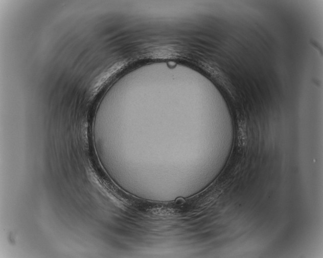 X0000102800535200809081114