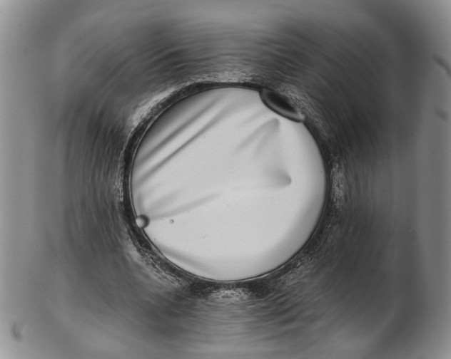 X0000102800536200809081114