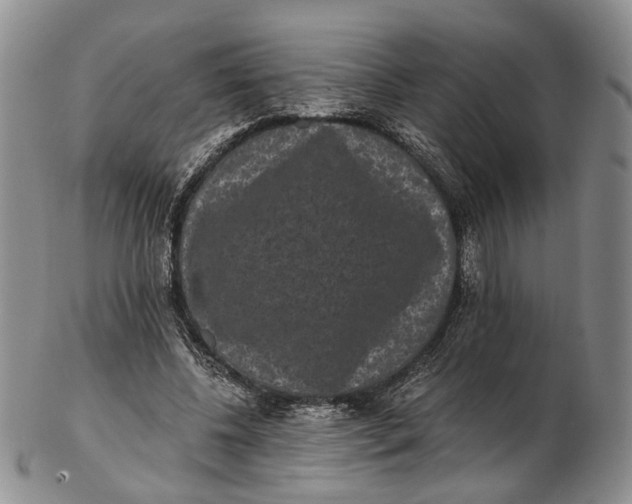 X0000102800540200809081114