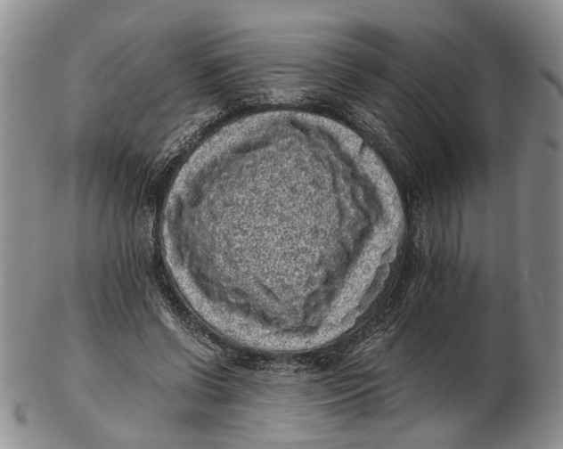 X0000102800542200809081114