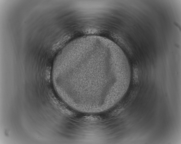 X0000102800545200809081114