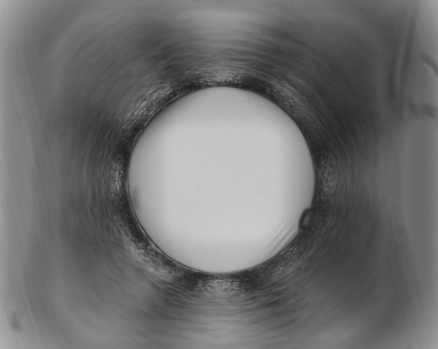 X0000102800546200809081114