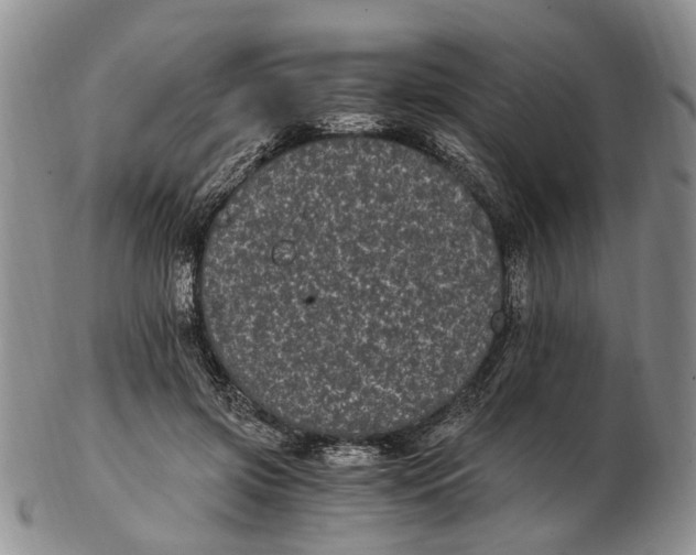 X0000102800549200809081114