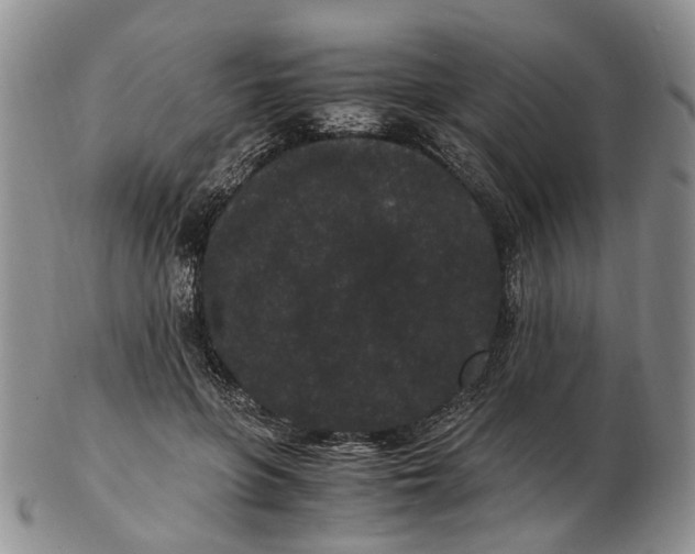 X0000102800551200809081114