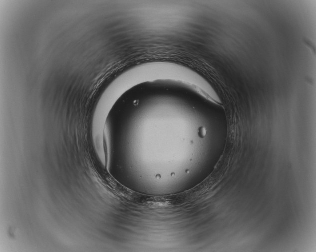 X0000102800552200809081114