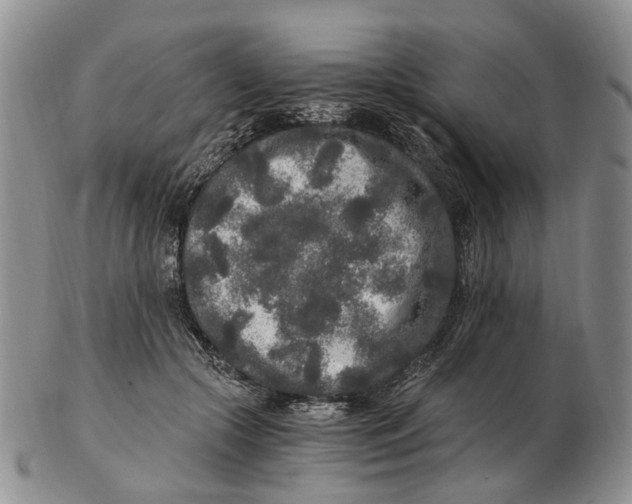 X0000102800553200809081114