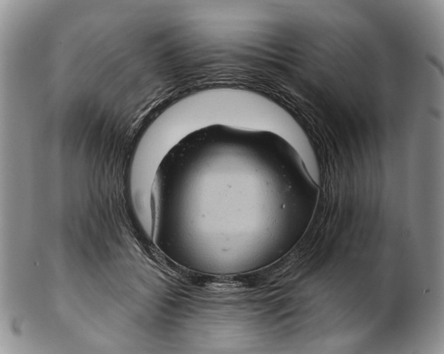 X0000102800556200809081114