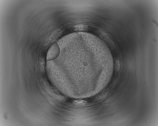 X0000102800557200809081114