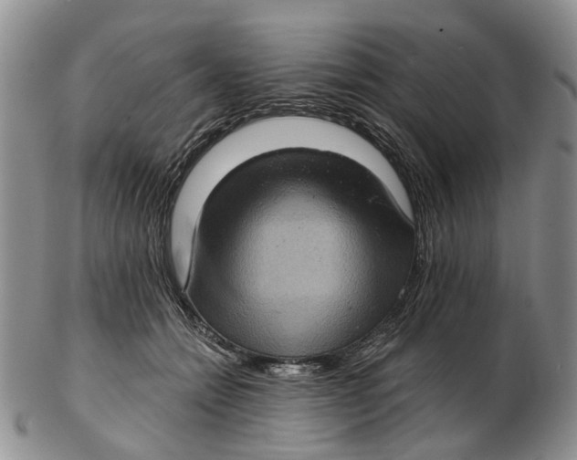 X0000102800558200809081114