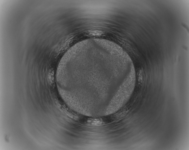 X0000102800559200809081114