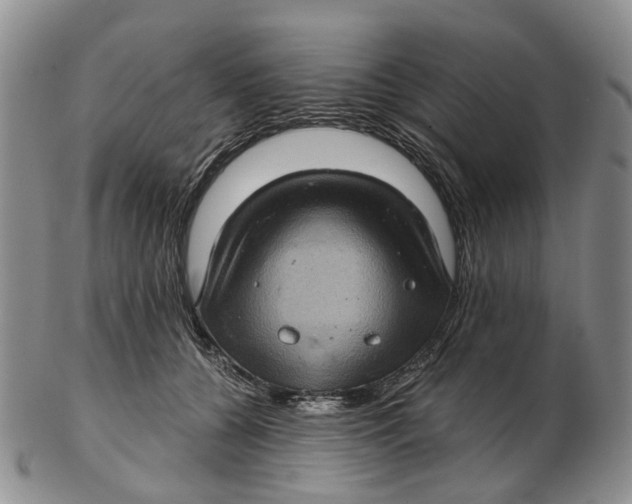 X0000102800560200809081114