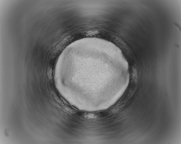 X0000102800565200809081114