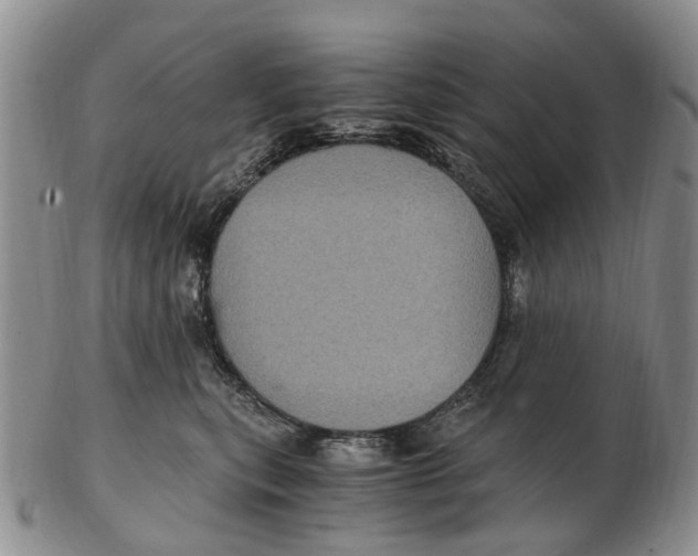 X0000102800567200809081114