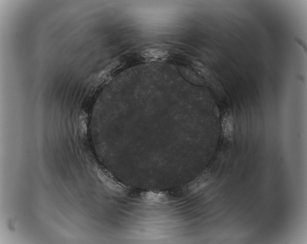 X0000102800570200809081114