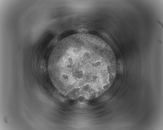 X0000102800573200809081114