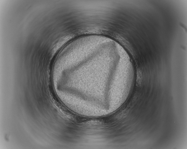 X0000102800578200809081114