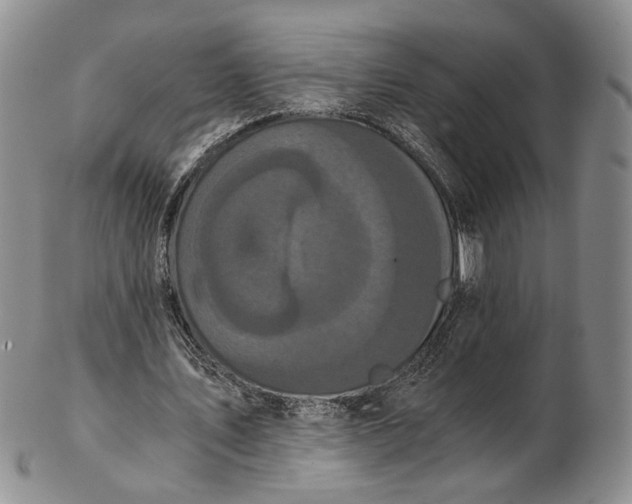 X0000102800579200809081114