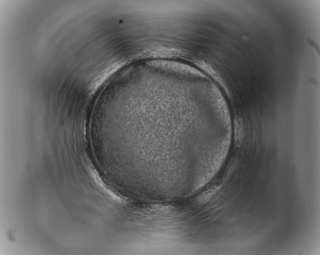 X0000102800581200809081114