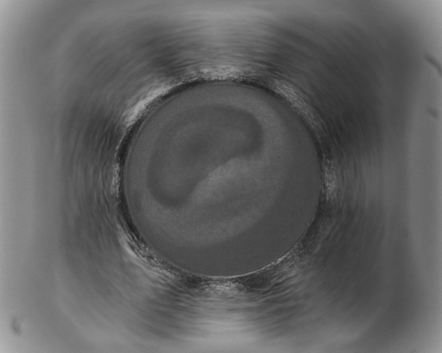 X0000102800583200809081114