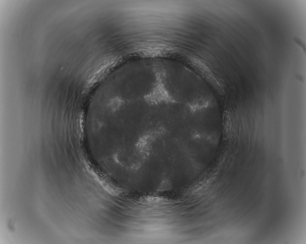 X0000102800590200809081114