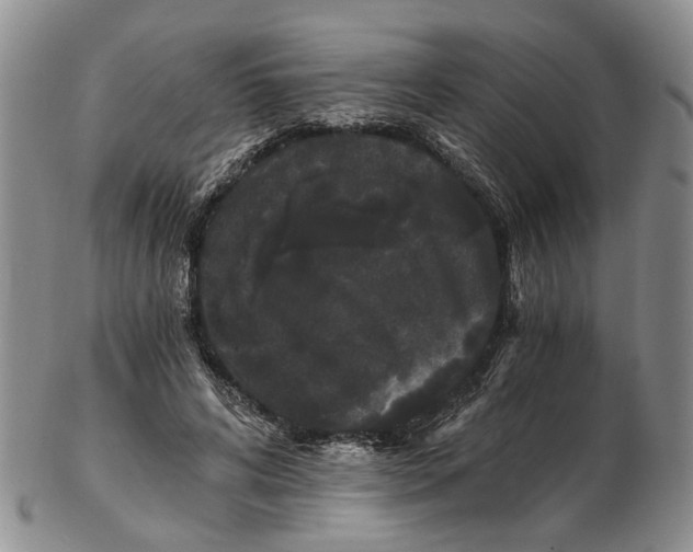 X0000102800592200809081114