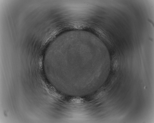 X0000102800595200809081114