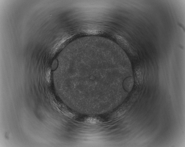 X0000102800596200809081114