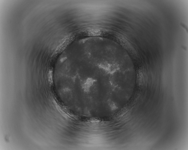 X0000102800598200809081113