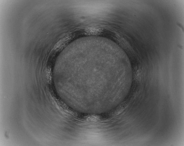 X0000102800599200809081113