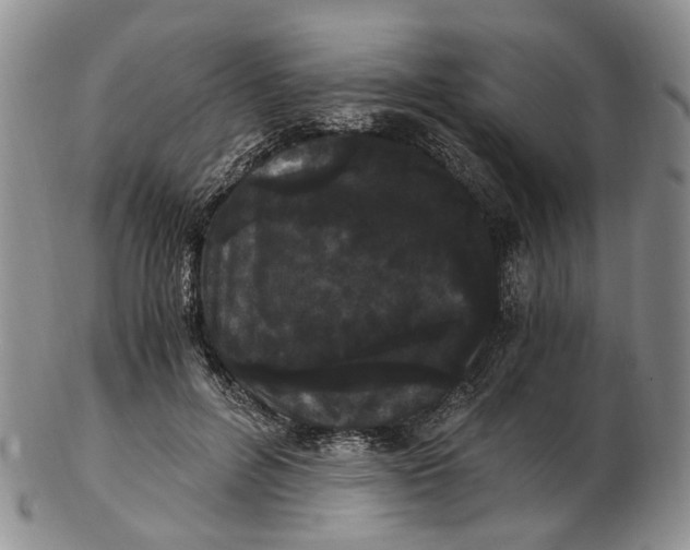 X0000102800600200809081113