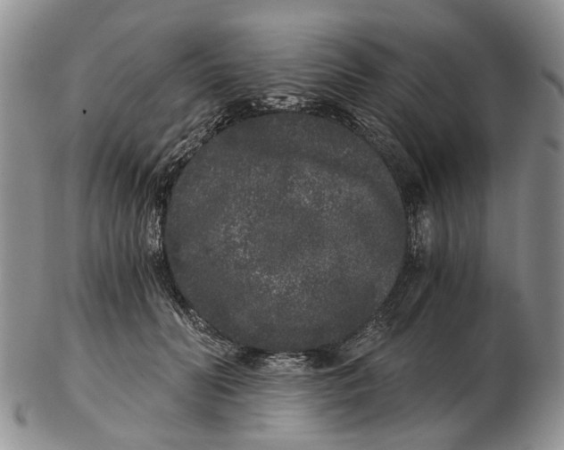 X0000102800606200809081113