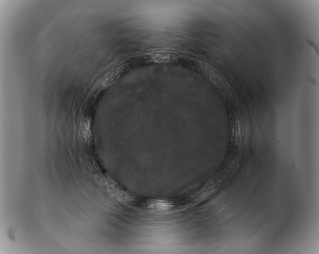 X0000102800610200809081113