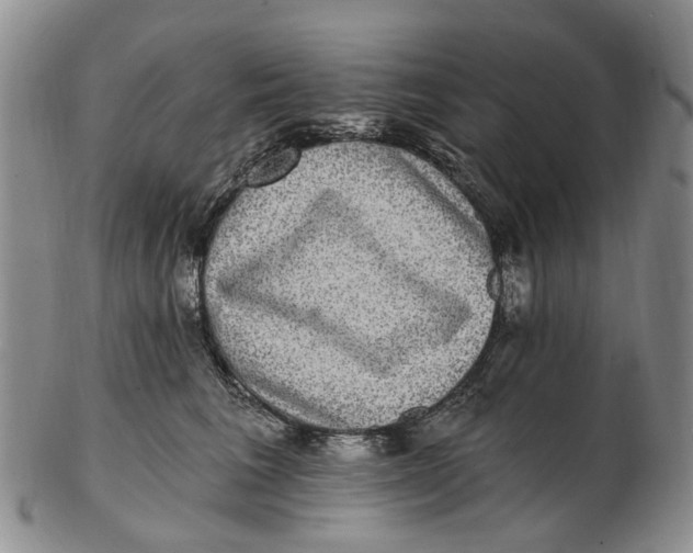 X0000102800613200809081113