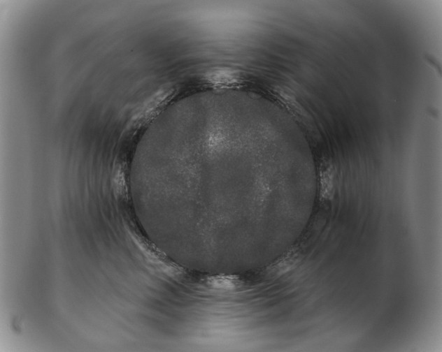 X0000102800618200809081113