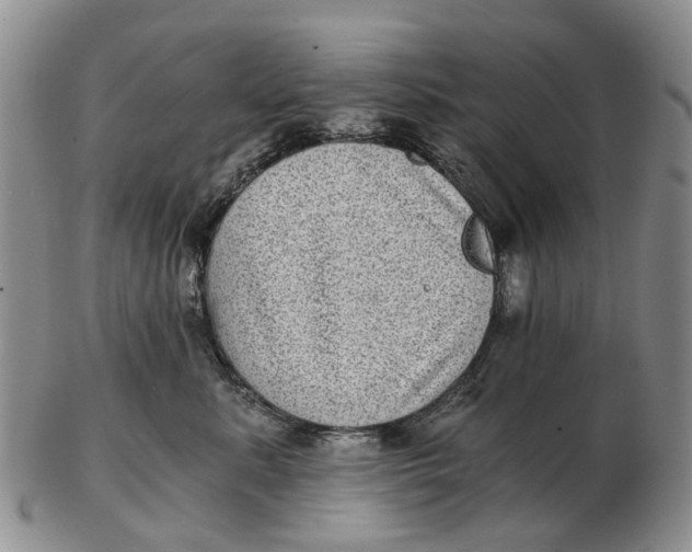 X0000102800619200809081113