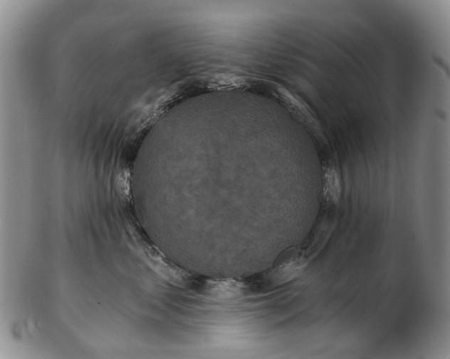 X0000102800621200809081113