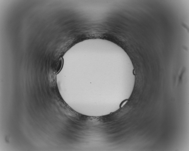 X0000102800624200809081113