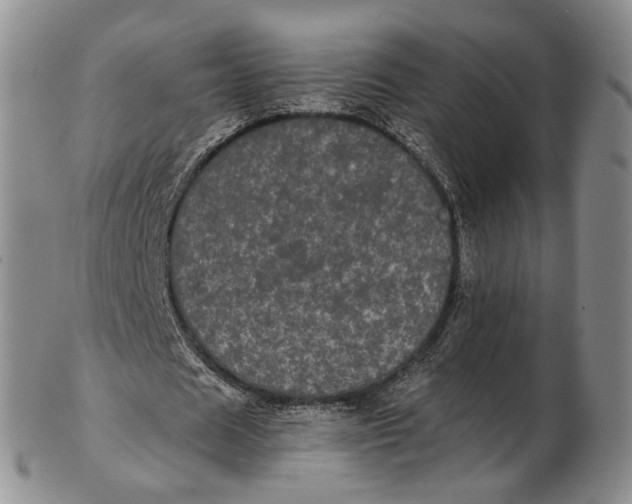 X0000102800625200809081112