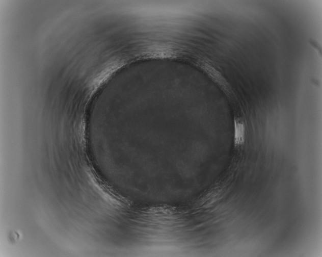 X0000102800627200809081113