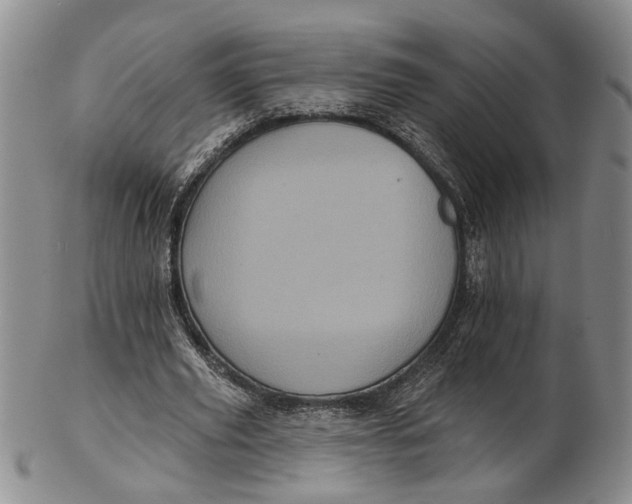 X0000102800629200809081113