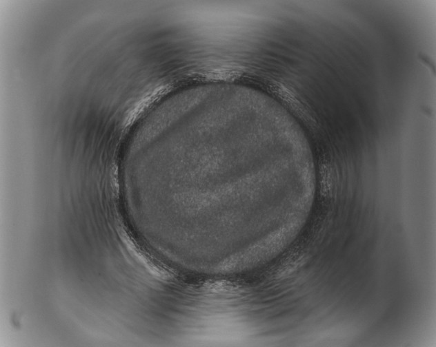 X0000102800634200809081113