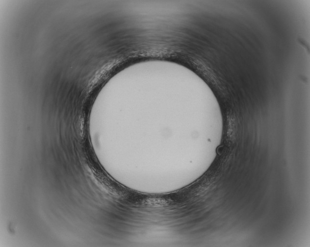 X0000102800636200809081113