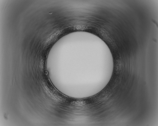 X0000102800639200809081113