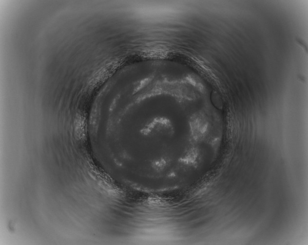 X0000102800641200809081113