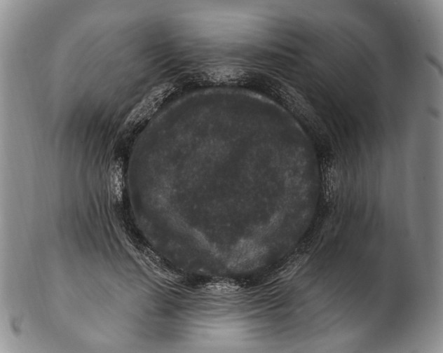 X0000102800644200809081113