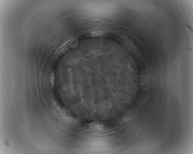 X0000102800648200809081113