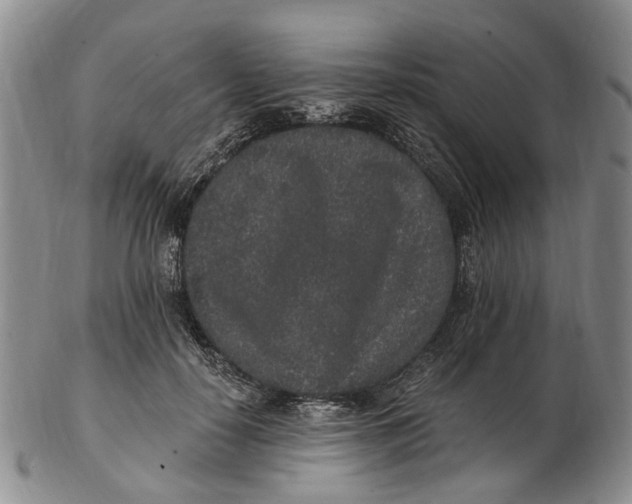 X0000102800650200809081113