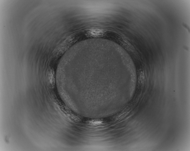 X0000102800651200809081113